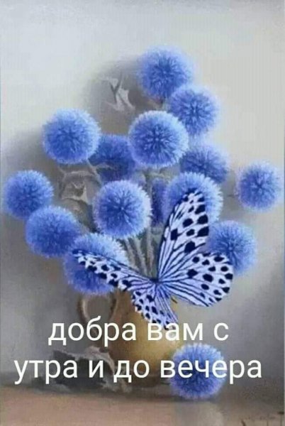 FB IMG 1615179730794
