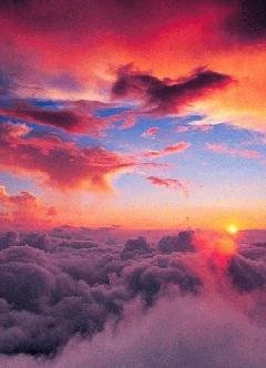 picture_273371739