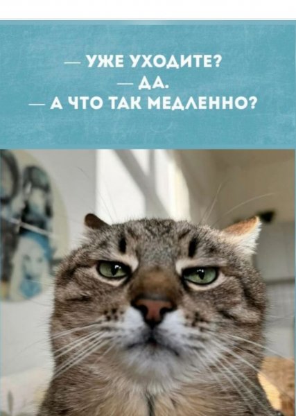 Ускорьтесь)