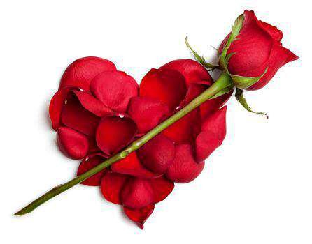 share image 1535300730390