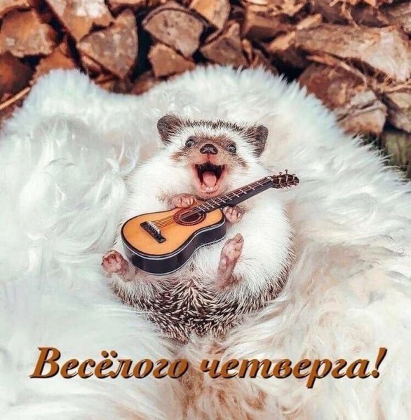 e0d5c74edd34f294fc949724c056c