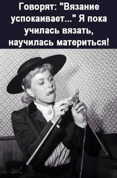 IMG 20260809 976