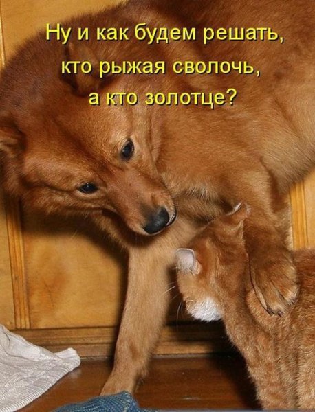А?