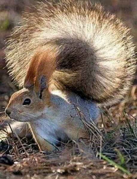 FB IMG 16324347049326612