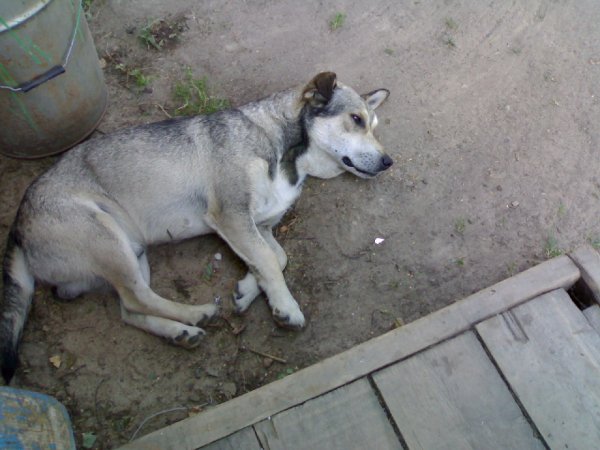picture_38474034