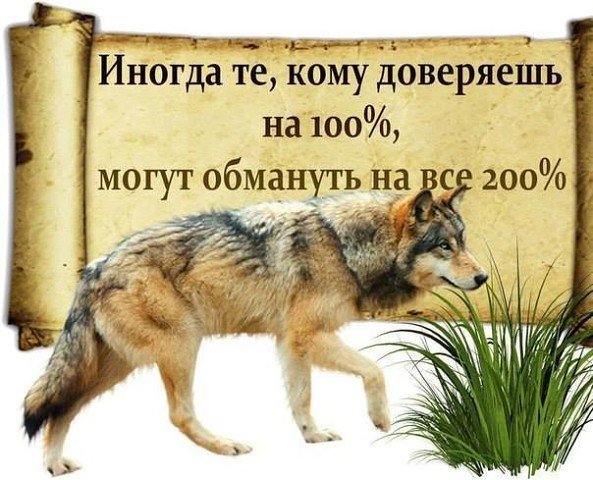 image-50