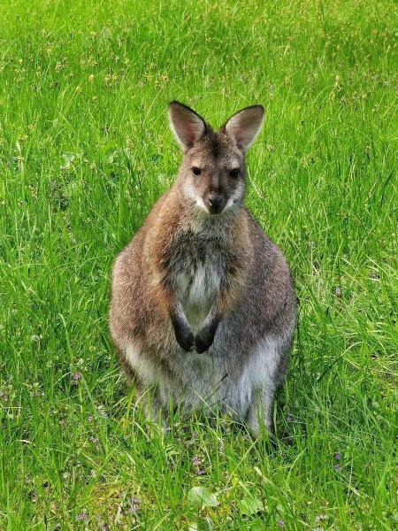 -5415914594905483564 121