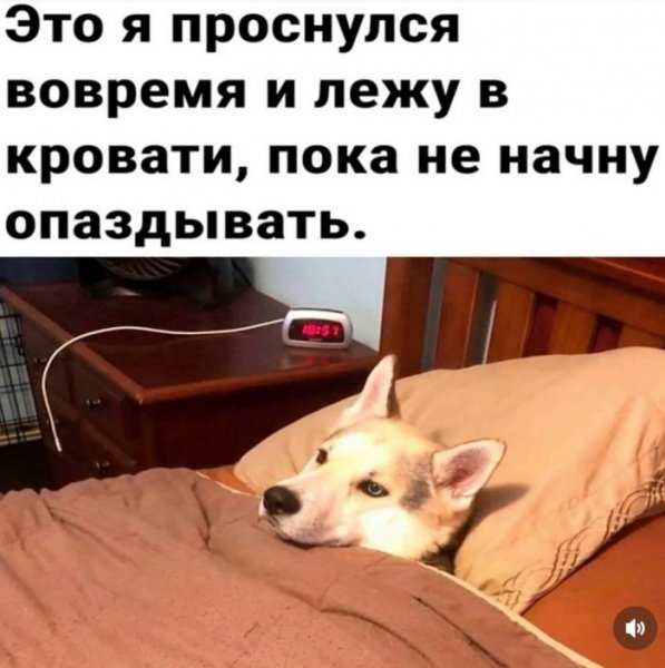 V-mir-svezhih-memov-i-smeshnyh-kommentariev-14