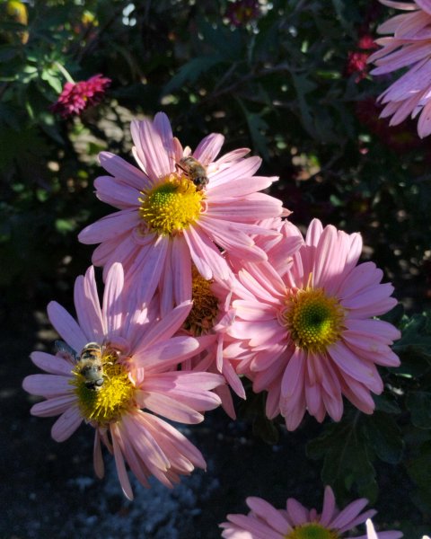 IMG 20231107 160725 936