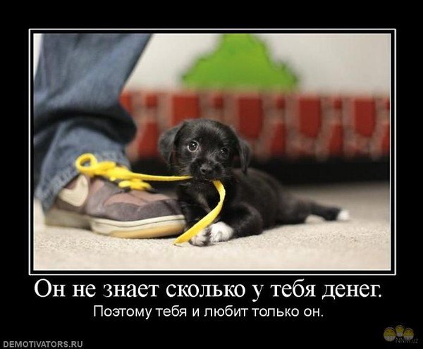 Только он