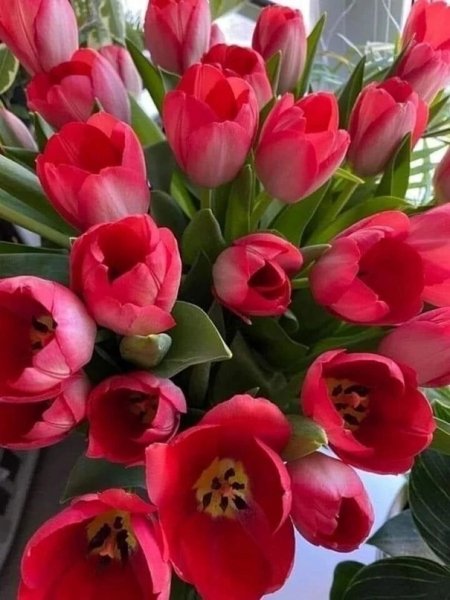 Поздравляю!