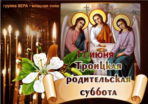 IMG-20220611-WA0003