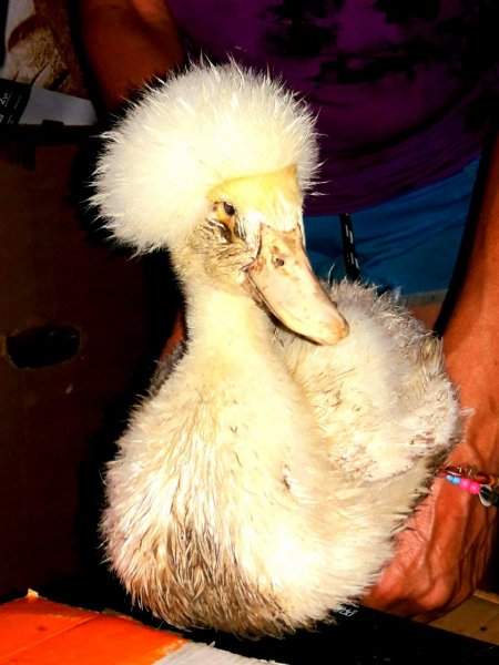 IMG 20240820 185855 772