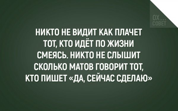 Hu41b8XSOGY