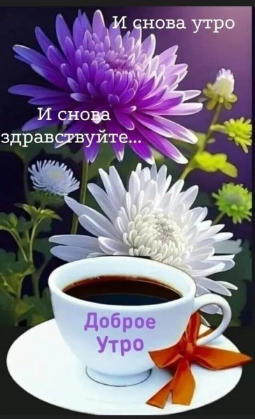 Доброе утро!