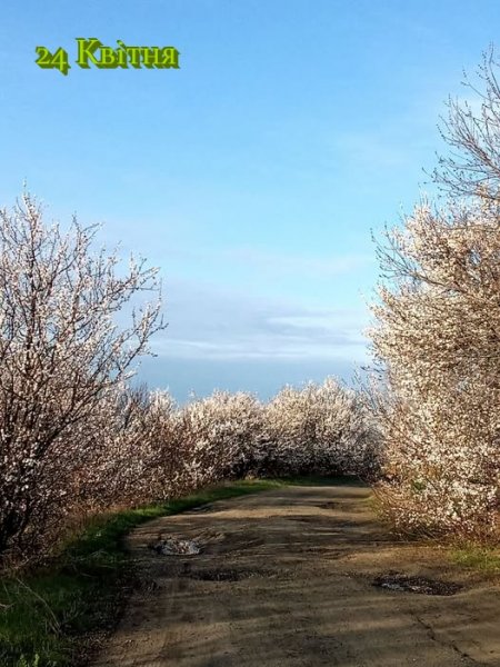 24 Квітня