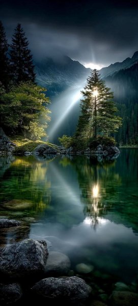 Арт Природа