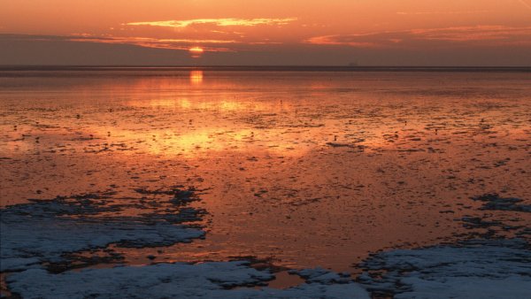 Sunset Over the Wadden Sea, Schleswig-Holstein, Germany