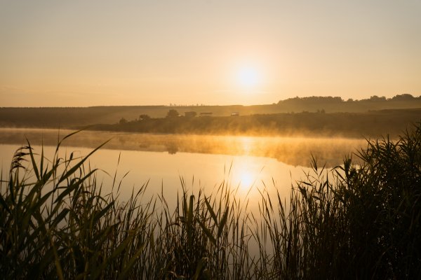 Foggy-summer-lake-sunrise-lake-superior-foggy-summer-morning