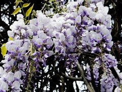 8b4070d41a637d5394ac0cbaf8d9315f