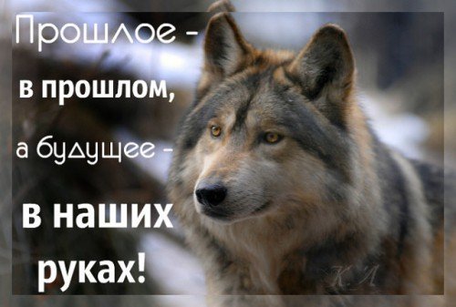 picture_166767581