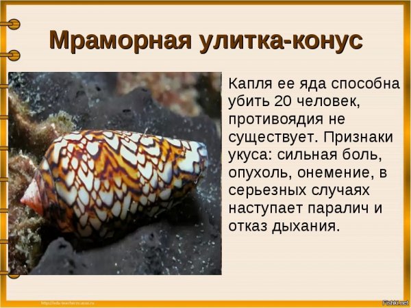 )))))