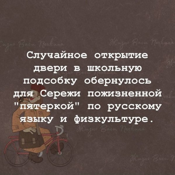 D297b3365d 19927571