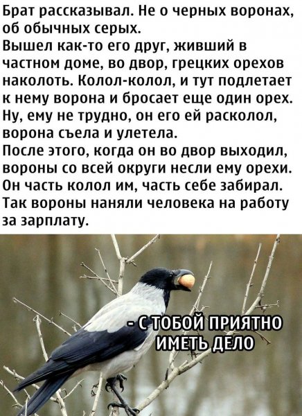 IMG 20201019 155038 617