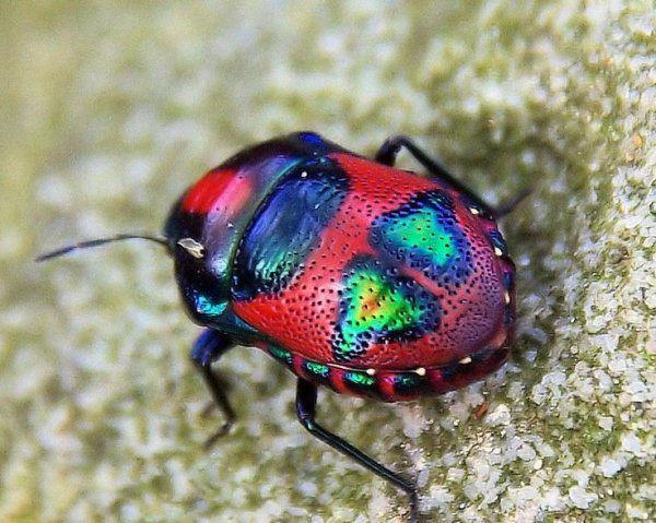 A3f19910d07e8028bf8bc197063b68dc