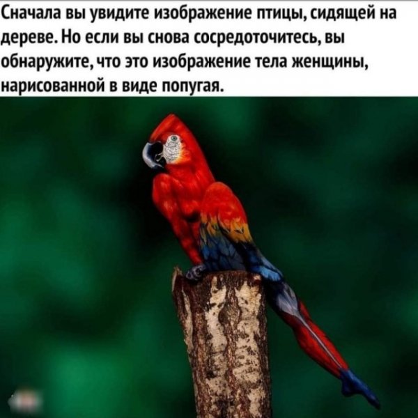 Показалось...