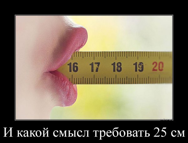photo 1497175691