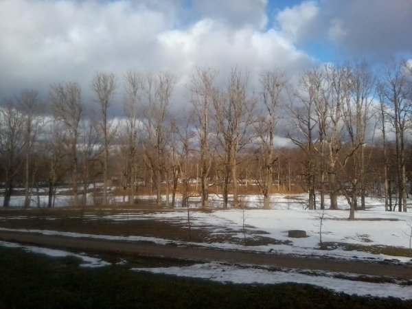 FotoattC493ls0033