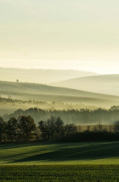 Screenshot 20240516-131303 One UI Home