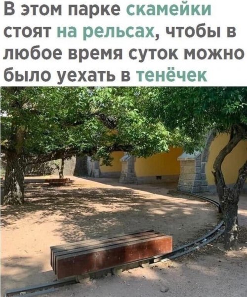 image (2) (25)