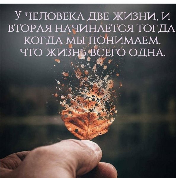 Всего одна