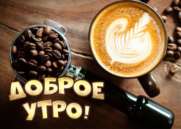 доброе утро 052001