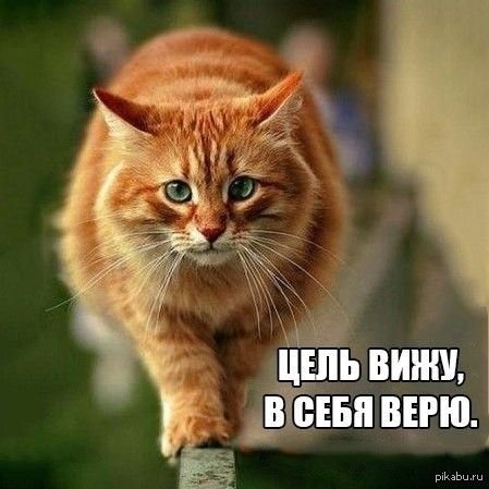 Ba08d8db-4543-4d79-8f66-580bd163743b