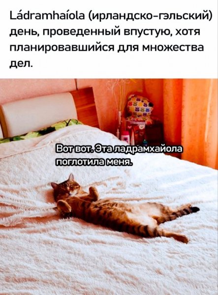 IMG 20241222 110533 542