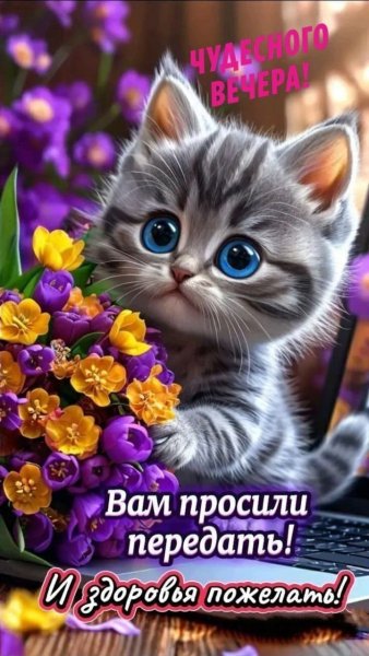 IMAGE BY CATRUS (11)