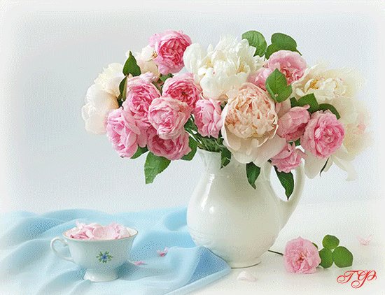 1.A5 F25BK 8 1C5BK.3c5c9719fe27