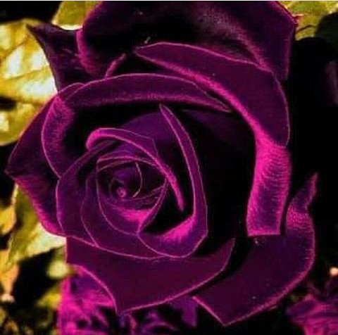 IMG 20170819 161814 1