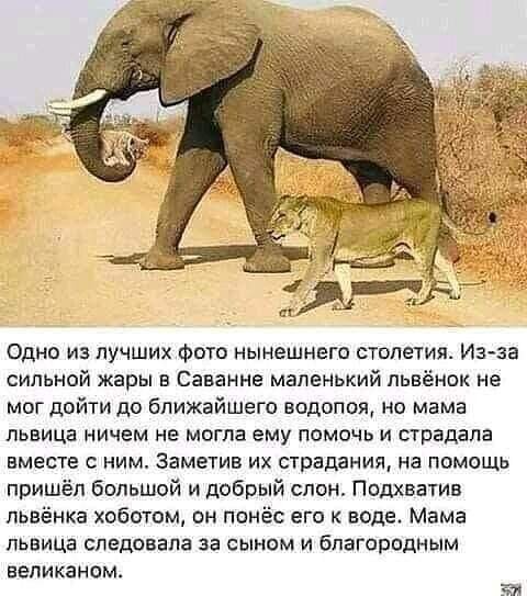 FB IMG 1613472882402
