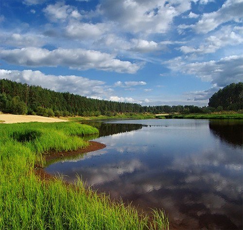 Лесное озеро