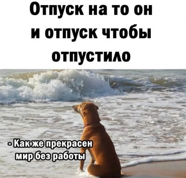 Мир без работы