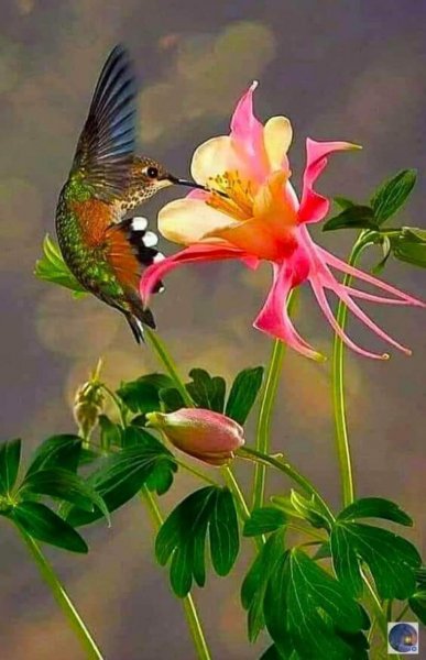 14-32-56-202327990 785987985415052 1213600900457859594 n
