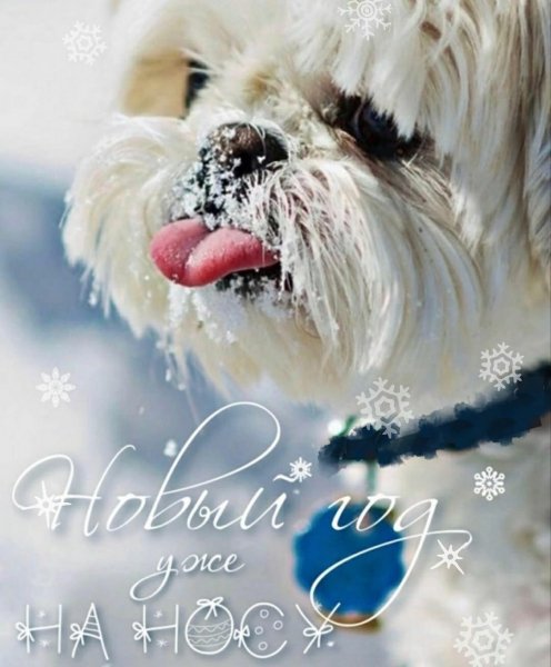 IMG-efa841d2b1d15341aad6c84e4ccf9016-V