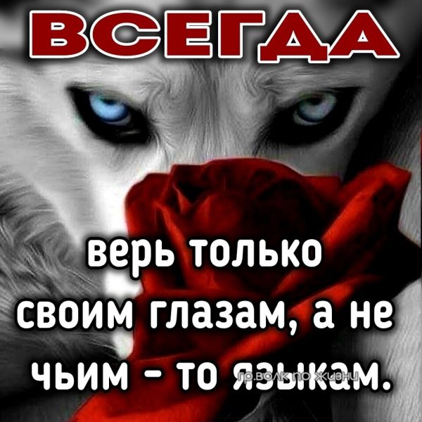 IMG 20220311 103828