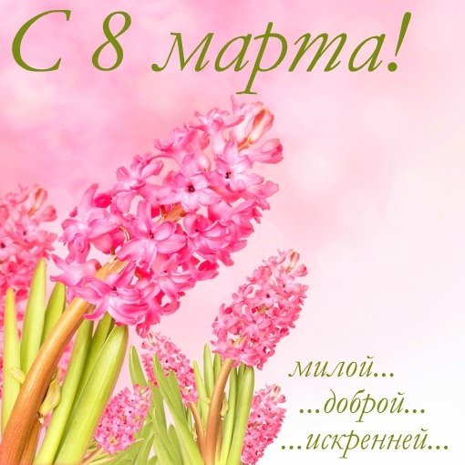 ZqtbU2eBnvMJQqUWqTOylDQ8JmBeHky nNS4Ag2pwcV d ROH3Z0HDsQ8eFK