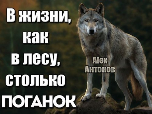 picture_212796437