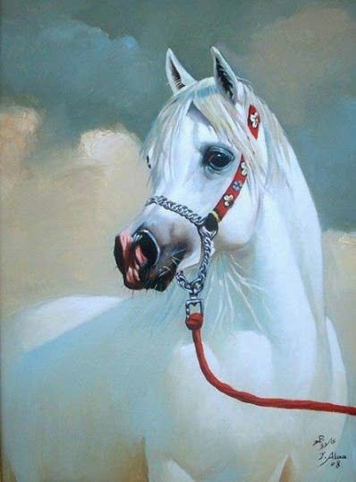 5b268216aec4394ca5e7b979d38483ad